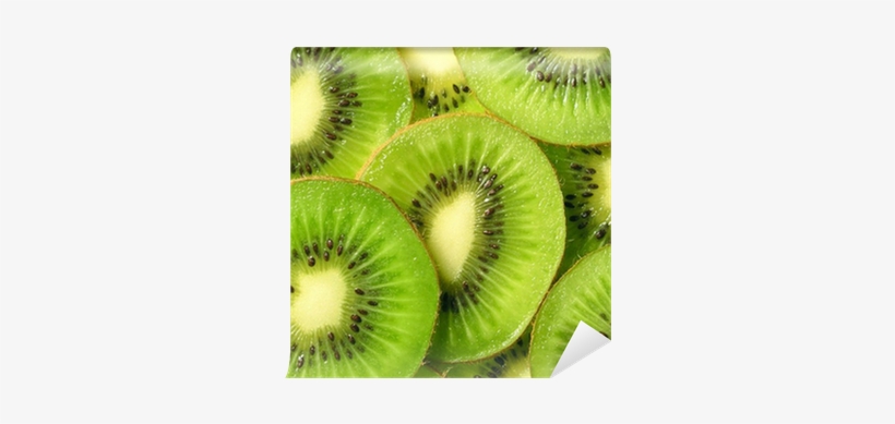 Designs Inspired By Nature, transparent png