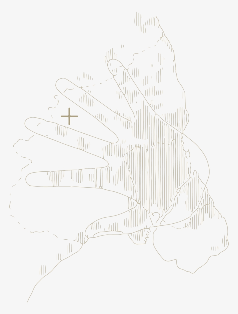 Location Of Site In Relation To The Copenhagen Finger - Sketch, transparent png