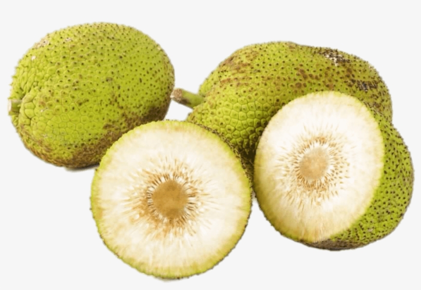 Fresh Breadfruit - Bread Fruit, transparent png
