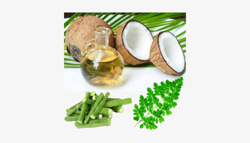 Coconut & Drumstick - Heal Your Metabolism By Kate Deering 9781511585620, transparent png