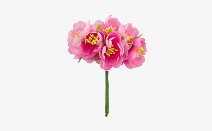 Jasmine, transparent png