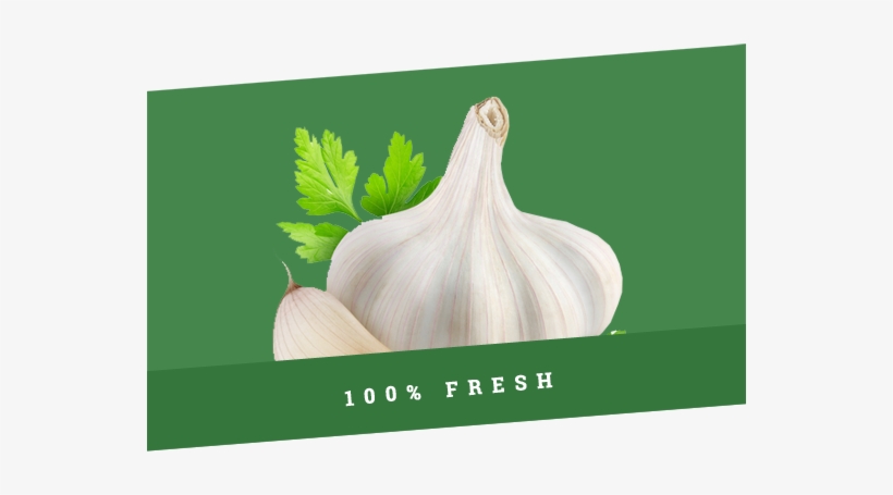 Promotion-banner4 - Kuşadası, transparent png