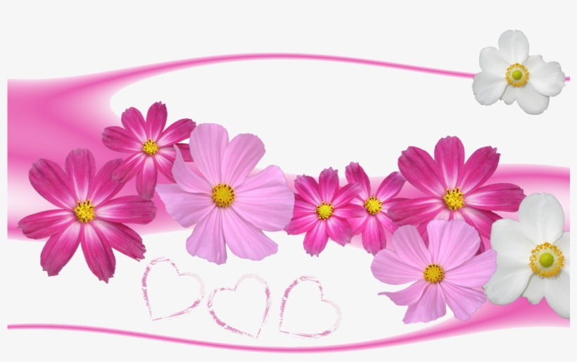 Flower Wallpaper Love - Flower Background, transparent png