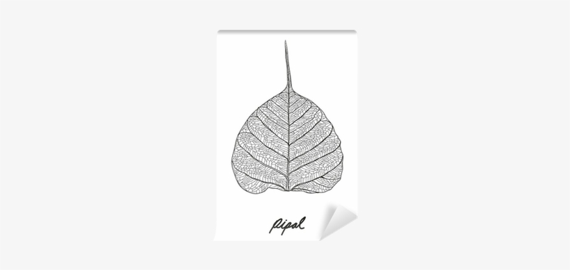 Royalty-free, transparent png