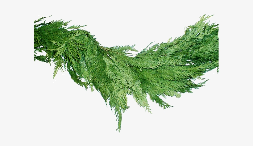 The Joy Of Christmas - Garland, transparent png
