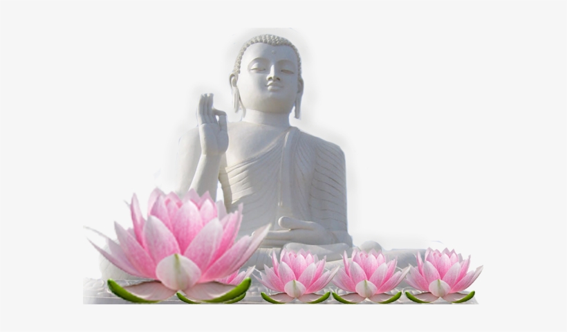 Christopher Lloyd Clarke / Seven Sacred Centers, transparent png