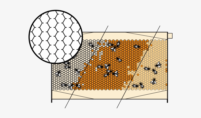 Reset Frame Closed Gallery1710 Nov1155552 Image - Flow Hive Honey Harvesting, transparent png
