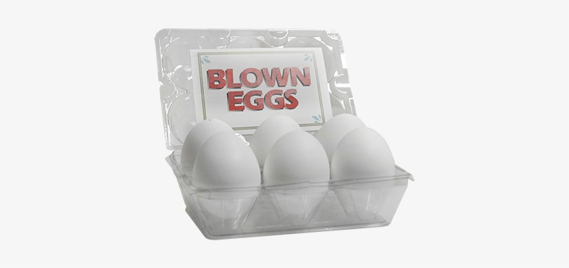 High Quality Blown Eggs By The Great Gorgonzola - White Eggs Pack Of 6, transparent png