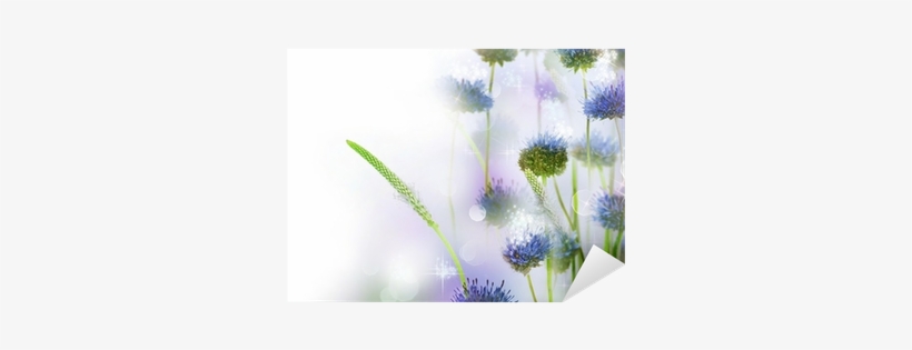 Flower, transparent png