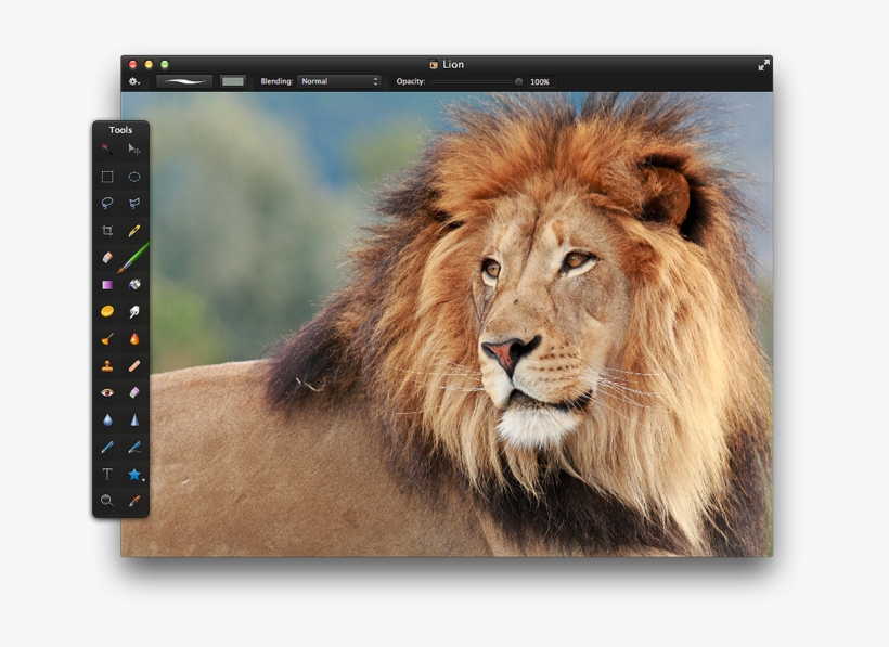 Open An Image That Has An Area Or Object You'd Like - Objects That Are Brown In Color, transparent png