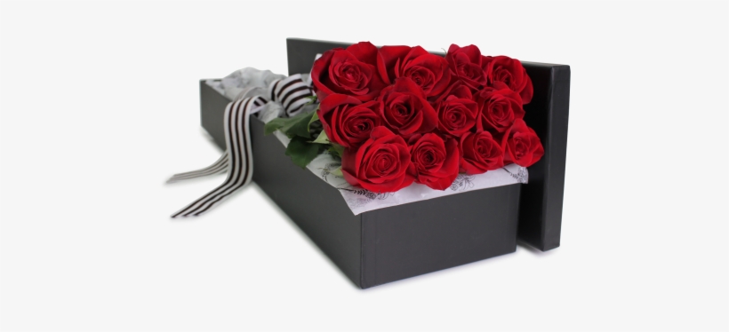Boxed Red Roses 12 Stem - Garden Roses, transparent png