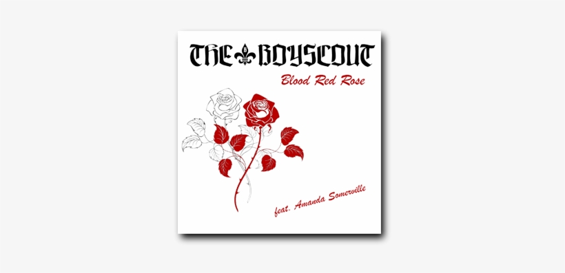 Blood Red Rose Feat - Drawn Roses, transparent png
