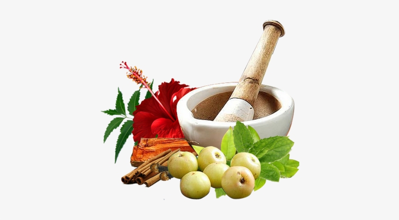 Panchakarma - Ayurvedic Treatment Of Brain Tumor, transparent png