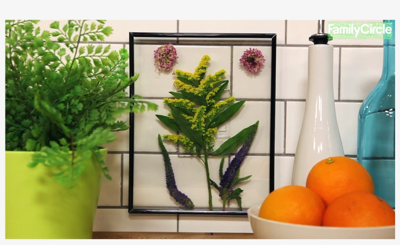 Leaf Frame Png, transparent png