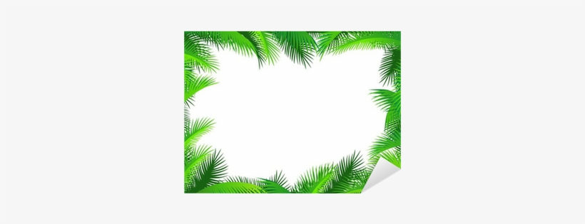 Jungle, transparent png