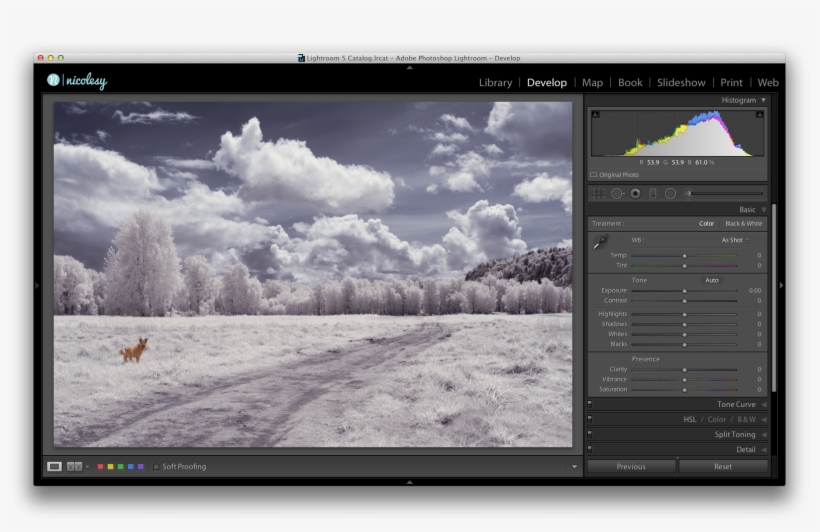 The Image Opens Up Back In Lightroom, Where I Will - Füssen, transparent png