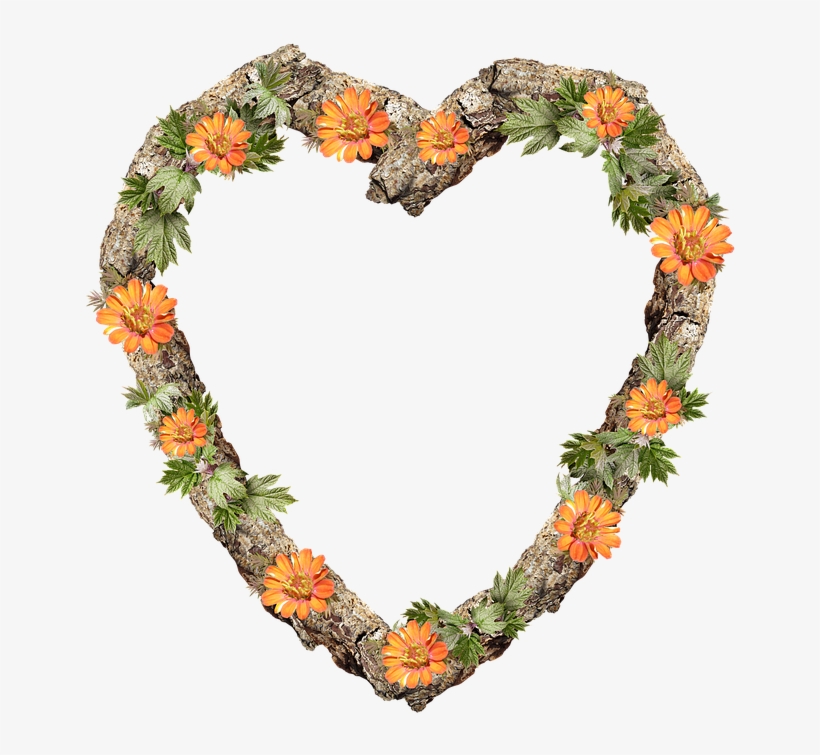 Frame, Border, Heart, Floral, Decoration - Transparent Rustic Heart, transparent png