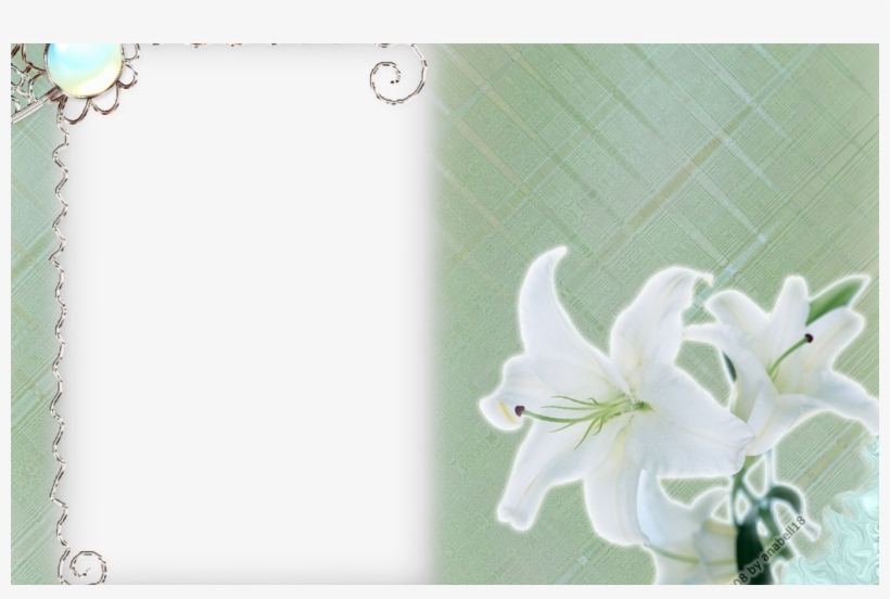 White Flower Frame Png Transparent Png Mart - Frame Png Transparent White Flowers, transparent png