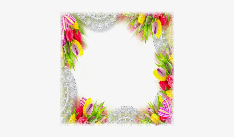 Flower Frame Tulips Cadre Fleur Deco - Tulip Frame Png, transparent png