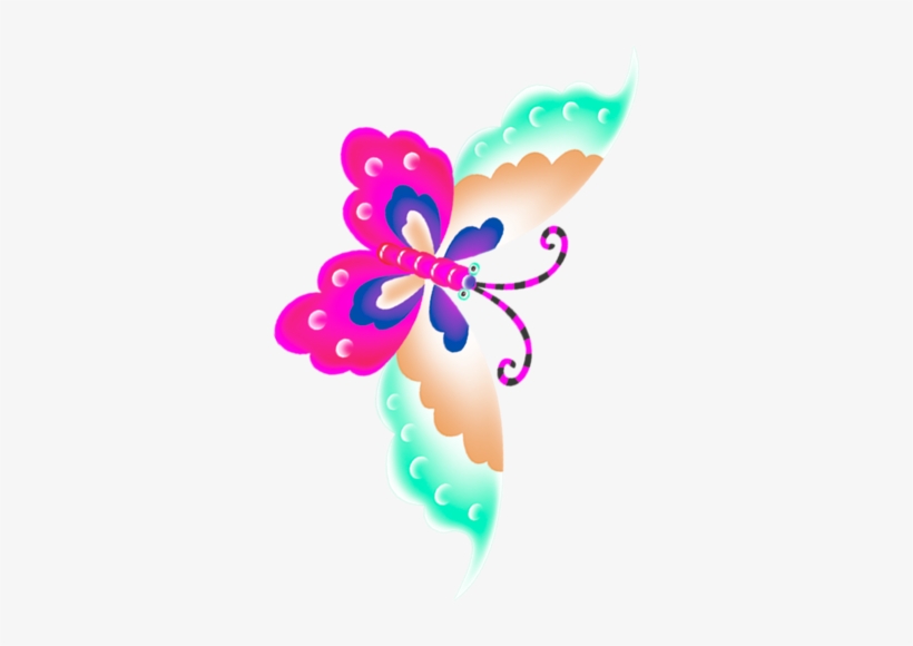 Butterfly, transparent png