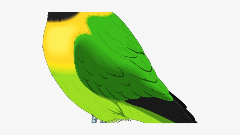 New Pictures 2018 Birds Clipart Full Colorful Images - Bird Clipart, transparent png
