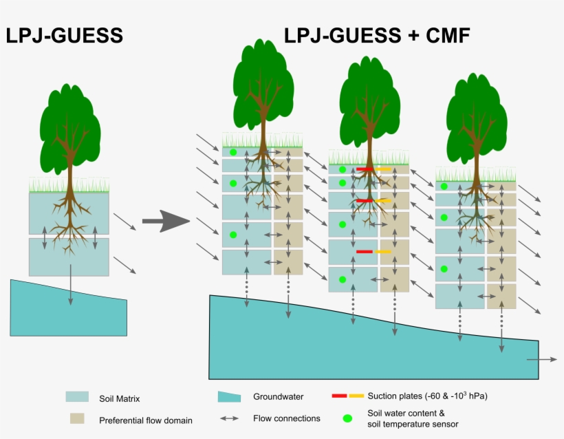 Current Land Surface Models Used To Investigate Global - Ecosystem, transparent png