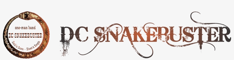 Dc Snakebuster - Death By Stereo 1 Shower Curtain, transparent png