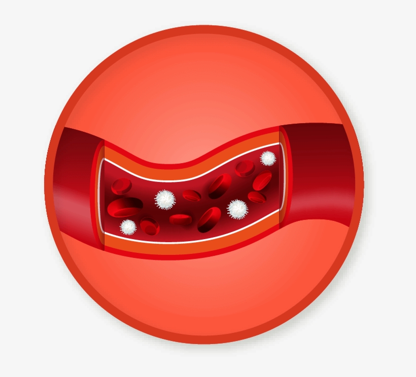Win A Badge - Colorfulness, transparent png