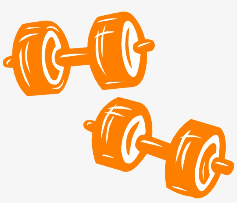 Vector Illustration Of Weightlifting Weight Training, - Weightlifting, transparent png