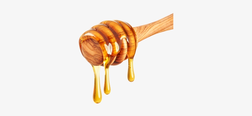 Picture - Honey With No Background, transparent png