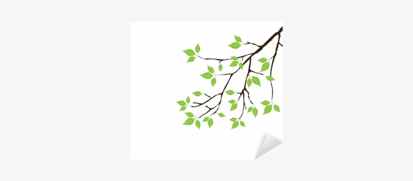 Vector Tree Branch With Green Leaves Sticker • Pixers® - Click Wall Art 'blue Spring Cardinal' Framed Graphic, transparent png