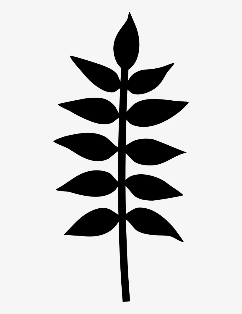 Plant Branch With Leaves Vector - Branch With Leaves Icon, transparent png