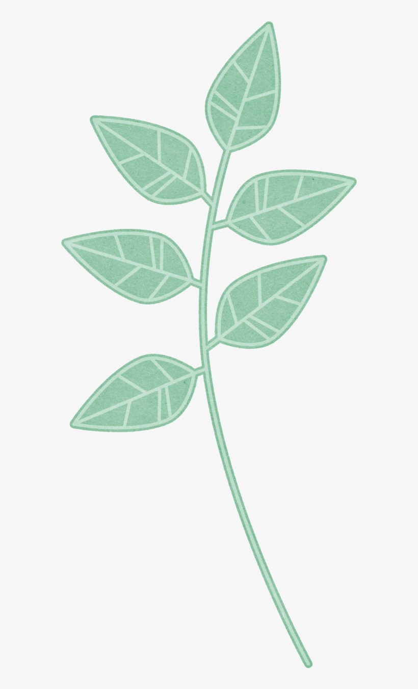 Яндекс - Фотки - Tree, transparent png