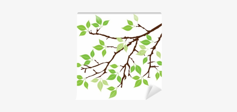 Cliparts Tree Branch, transparent png