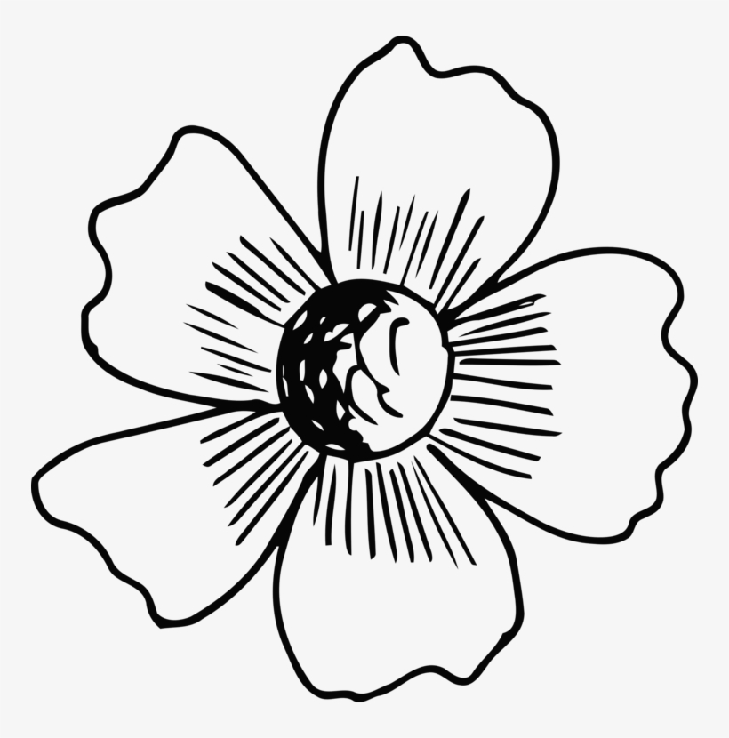 Floral Design Line Art Flower Monochrome Black And - Flower, transparent png