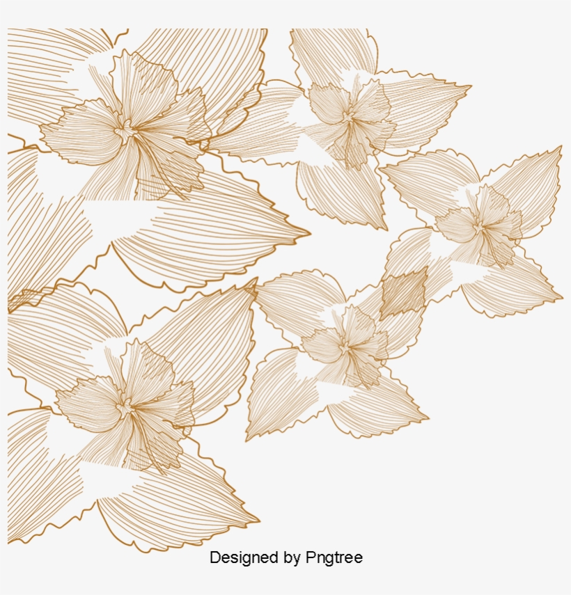 Pattern Background Vector Pattern, Creative Pattern, - Vector Graphics, transparent png