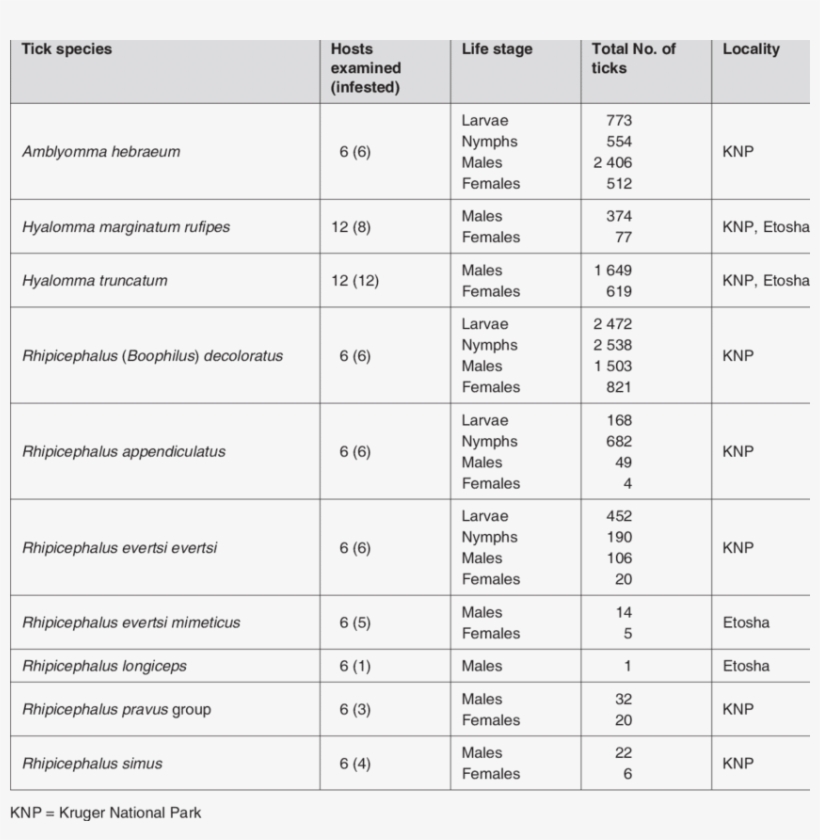 Giraffes Examined And The Number Infested Within The - 1120 Natura Sites Sci Greece, transparent png