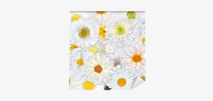 White Flower Background Wall Clock, transparent png