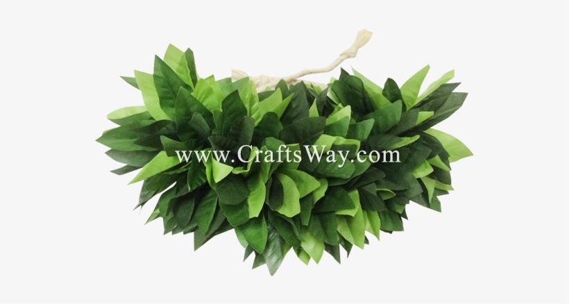 Hb-501 Hairband, Maile Braided Kupe'e 7 Inch, Maile - Grass, transparent png