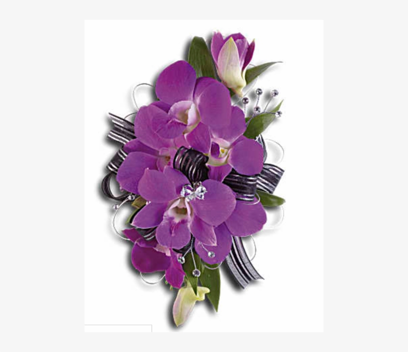 More Views - T201 5a, transparent png