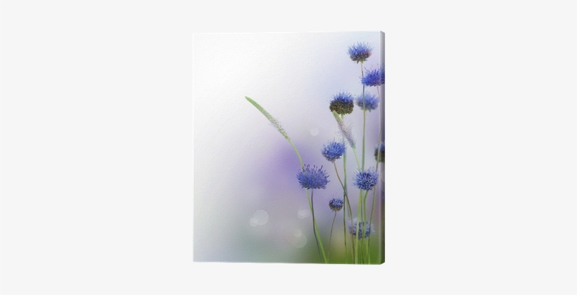 Abstract Flowers Border Design Canvas Print • Pixers® - Life Well Lived Is A Precious Gift, transparent png