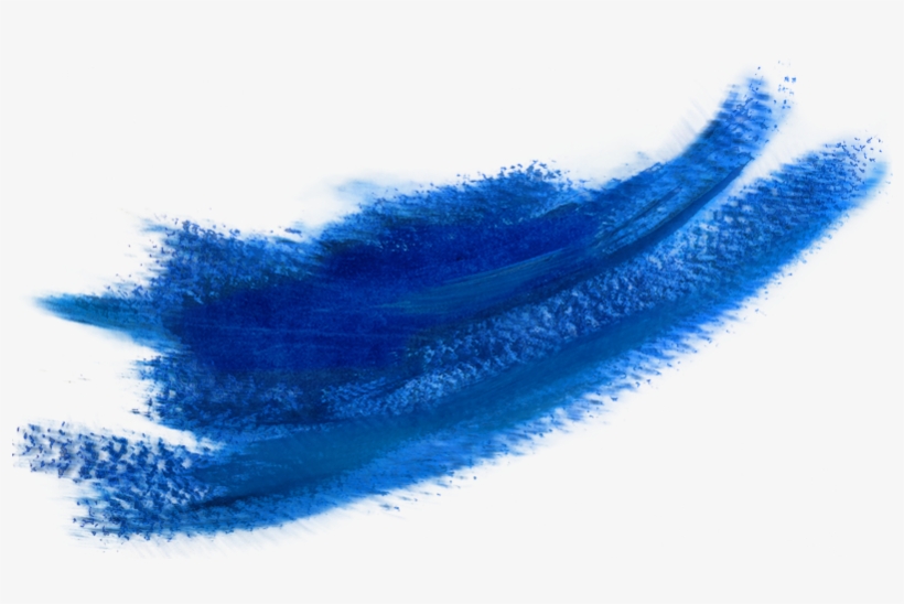 “brush And Bow About Colour Tones And Tone Colours” - Painting, transparent png