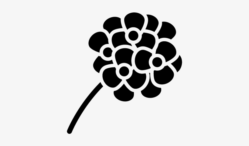Flower Vector - Geranium Icon, transparent png