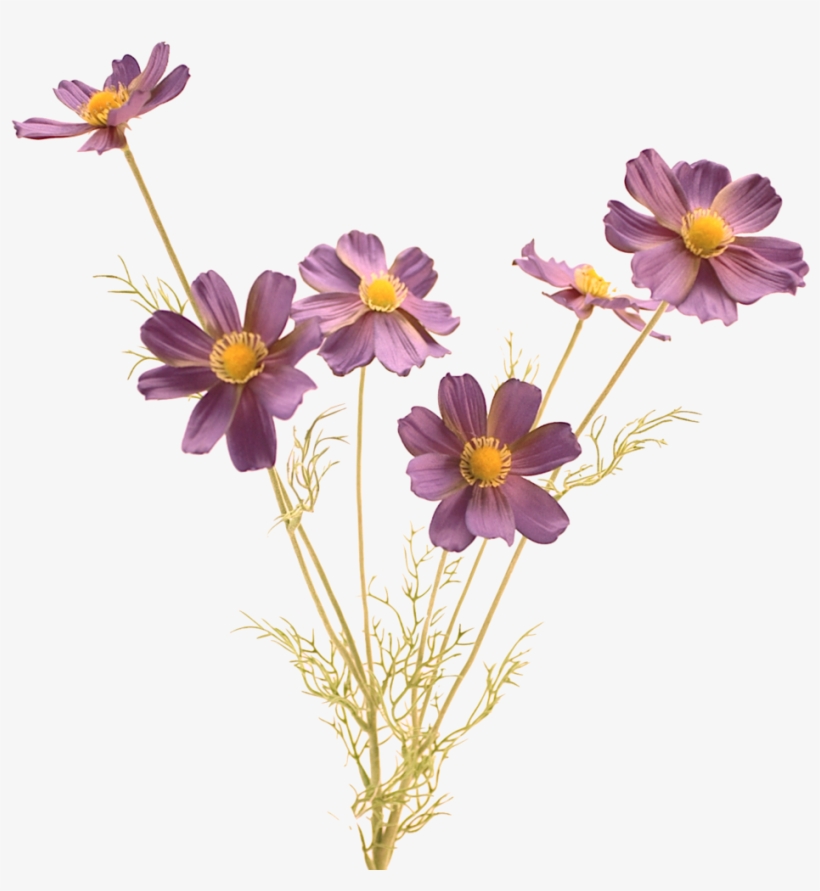 Realistic Flowers Png, transparent png