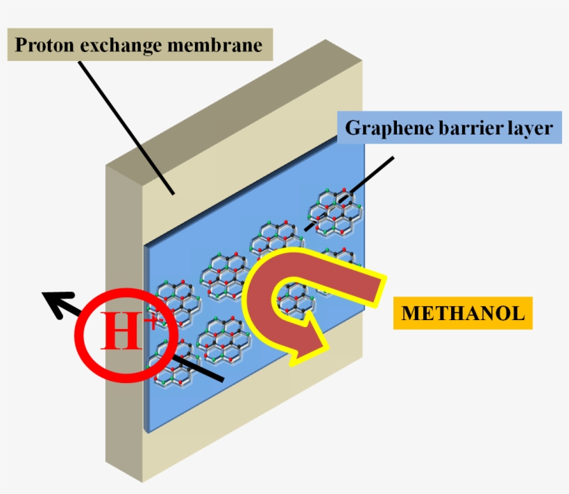 Schematic Showing Proton Transport Through The Membrane - Fuel Cell Direct Methanol Uses, transparent png