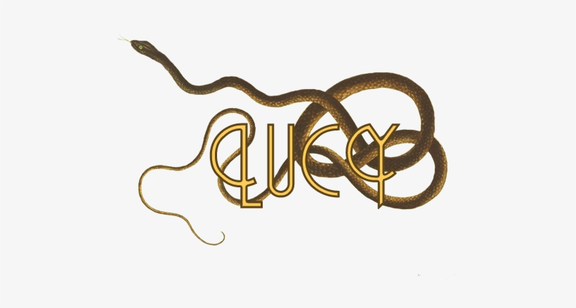 Lucyheader - Coach-whip Snake (coluber Flagellum), transparent png