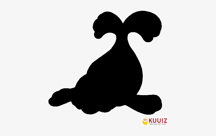 Who's That Pokémon Seel - Seel Pokemon Silhouette, transparent png