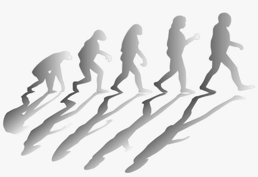 Evolve - Darwin's Contributions, transparent png
