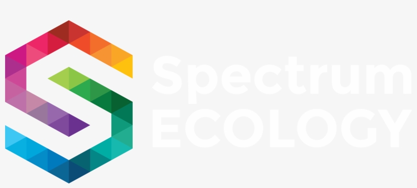 Logo, transparent png
