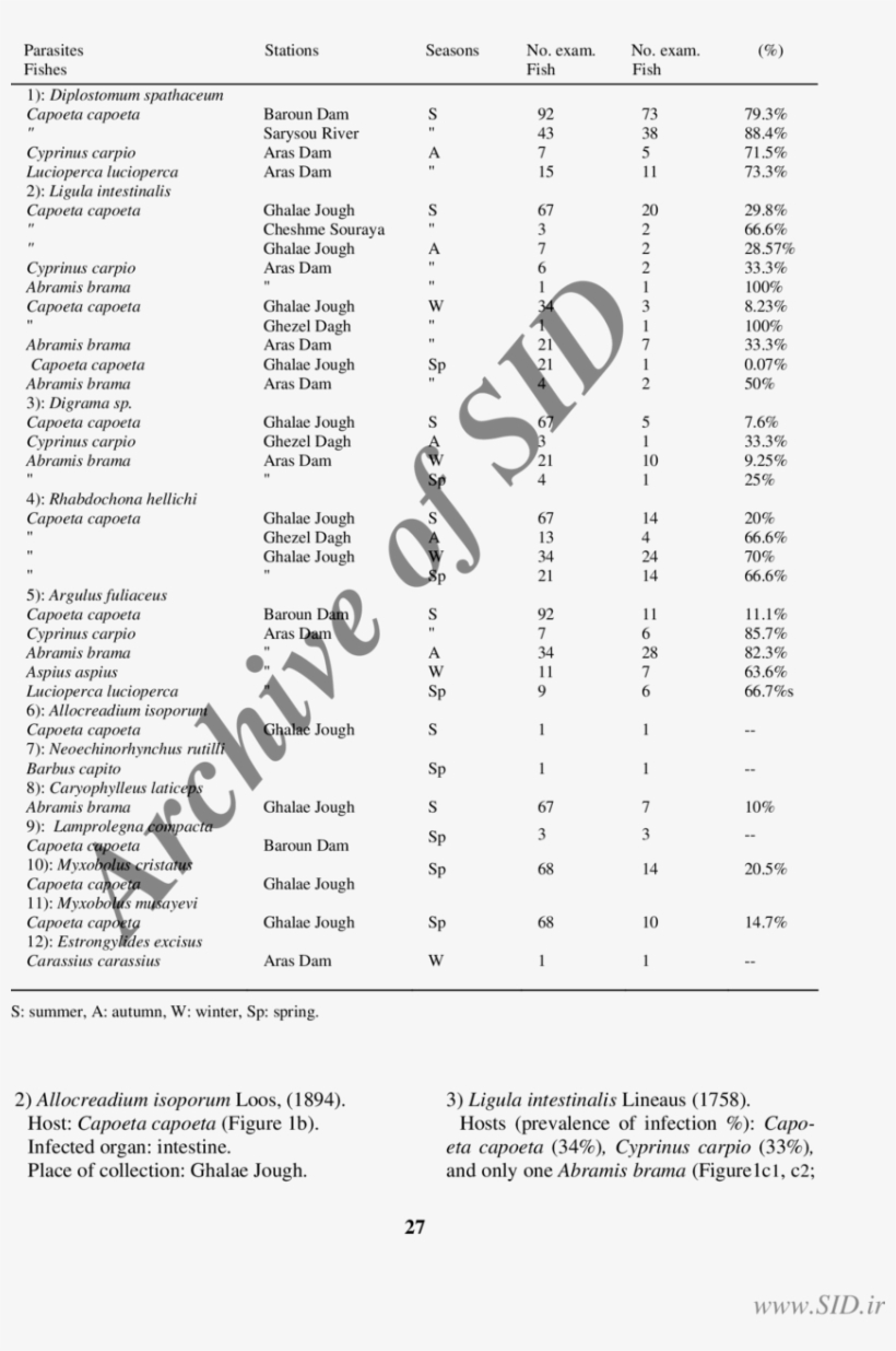 Prevalence Of Infections In Different Fishes And Seasons - Enzyme Activator, transparent png
